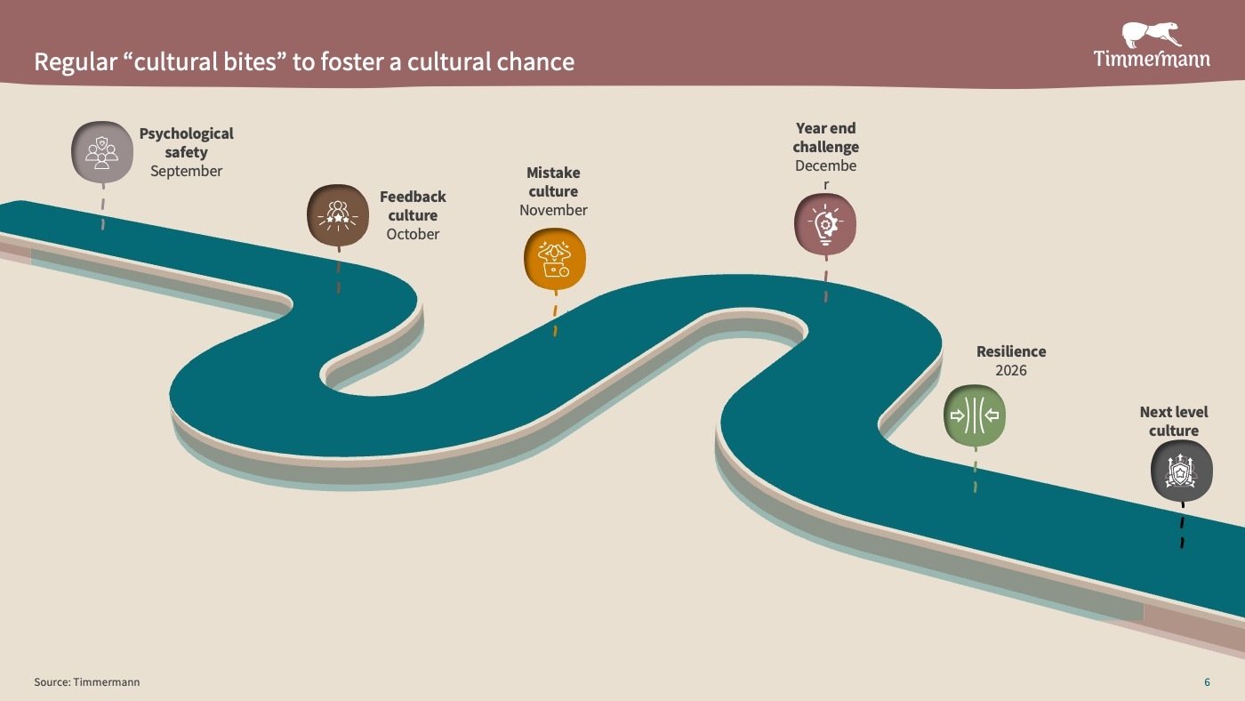 Timmermann x ABB Folie3