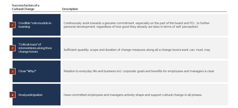 Topics - Culture Change - success factors of a cultural change