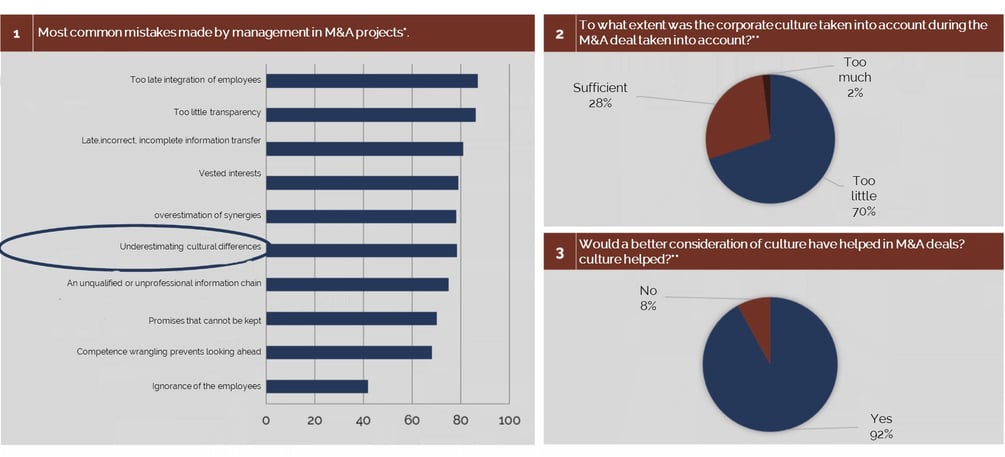 Topics - M&A Change Support - most common mistakes management in MA projects