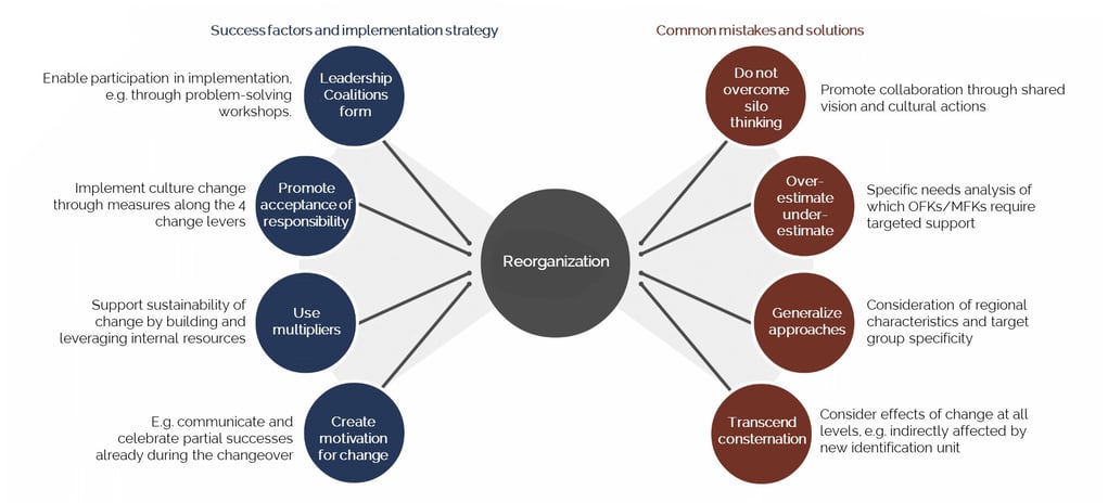 Topics - Reorganization -  success factors for reorganisation